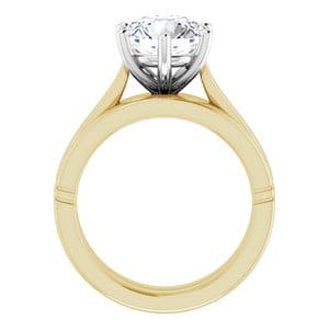 Rings 14K Yellow & White 8.8 mm Round Engagement Ring Mounting