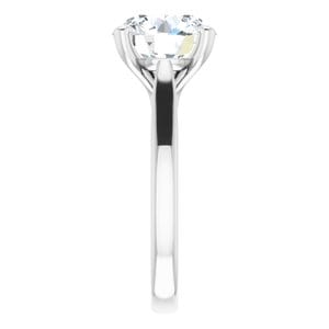 Rings Platinum 10 mm Round Engagement Ring Mounting
