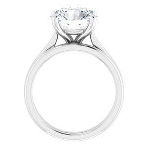 Rings Platinum 10 mm Round Engagement Ring Mounting