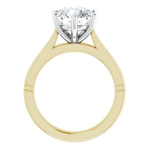 Rings 14K Yellow & White 8.8 mm Round Engagement Ring Mounting