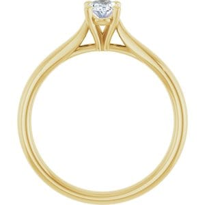 Rings 14K Yellow 6x4 mm Oval Engagement Ring Mounting