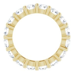 Rings 14K Yellow 3.75 mm Round Eternity Band Mounting Size 5.75