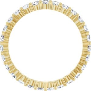 Rings 14K Yellow 2 mm Round Eternity Band Mounting Size 6
