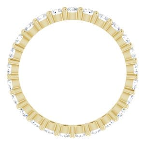 Rings 14K Yellow 2.25 mm Round Eternity Band Mounting Size 6.75